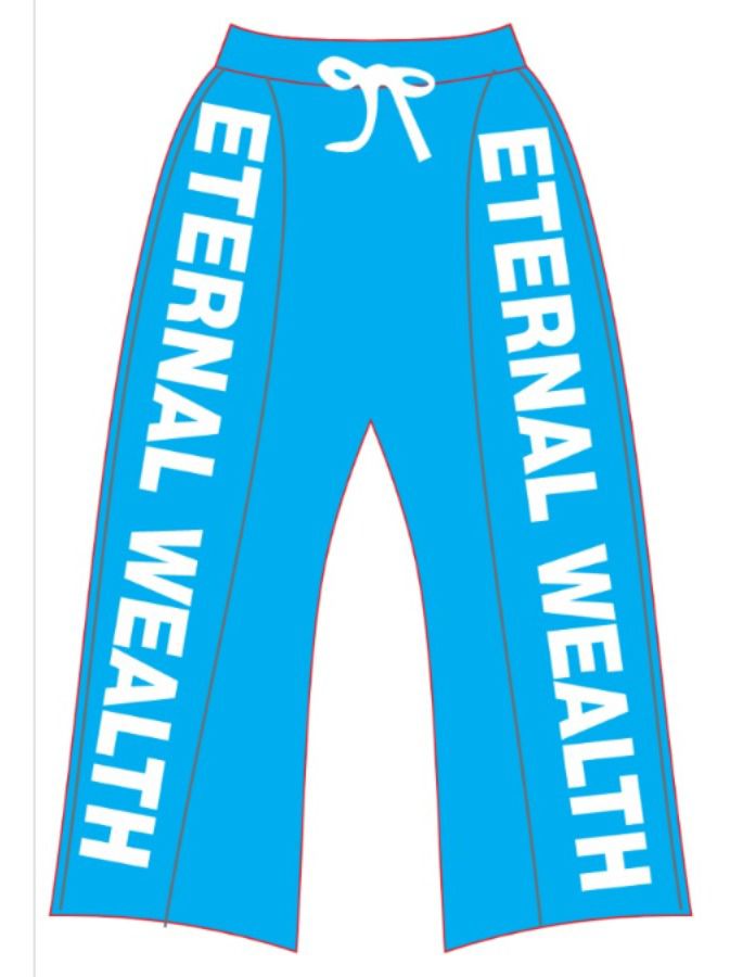 EW BLUE NYLON PANTS