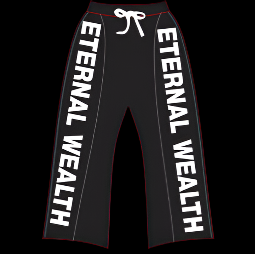 EW BLACK NYLON PANTS
